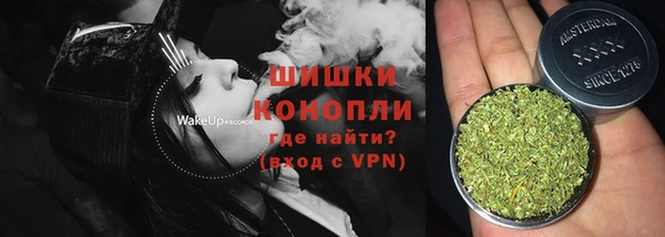стафф Осташков