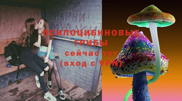 стафф Осташков