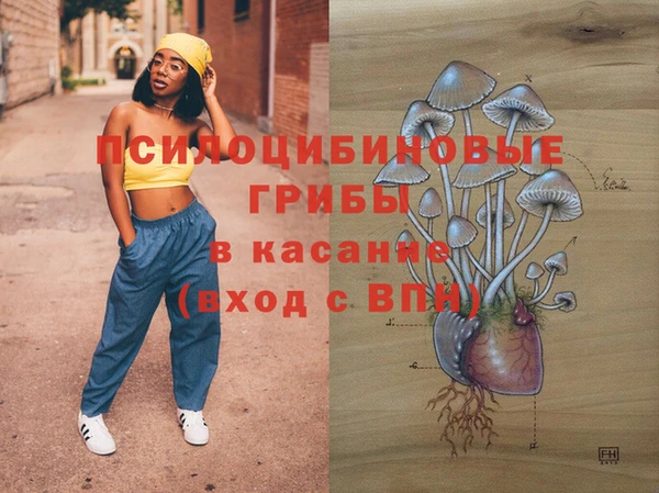 прущие крисы Осинники