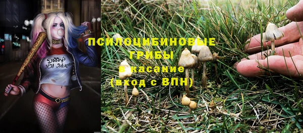 стафф Осташков