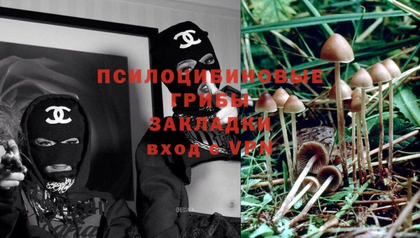 прущие крисы Осинники