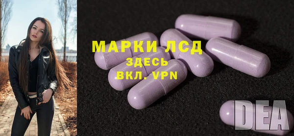 стафф Осташков