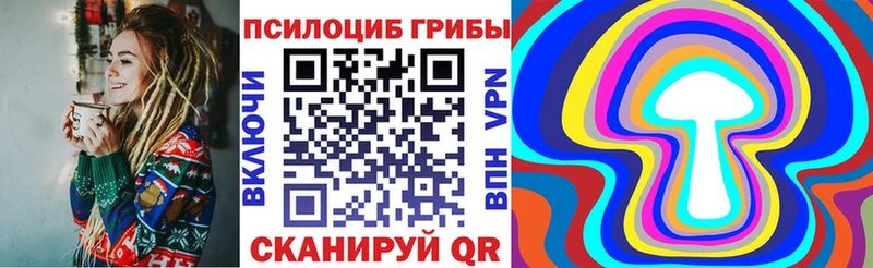 хочу   Удачный  Галлюциногенные грибы Cubensis 