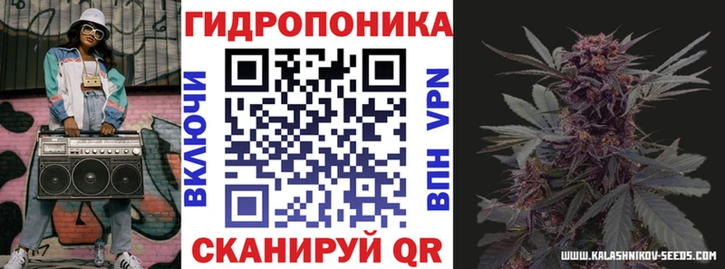 Бошки Шишки планчик  Удачный 
